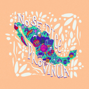 logo_NSDP